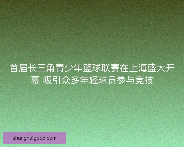 首届长三角青少年篮球联赛在上海盛大开幕 吸引众多年轻球员参与竞技